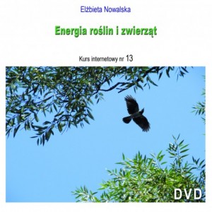 e. rosl