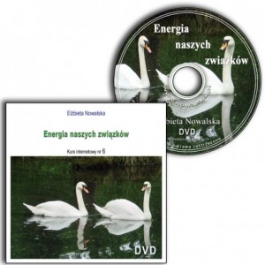energia zw