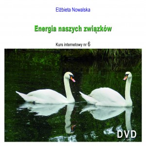 energia zw1